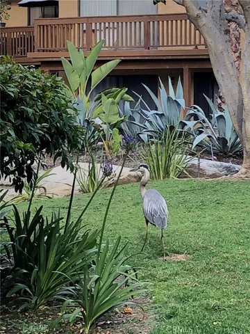 a view of a backyard with plants