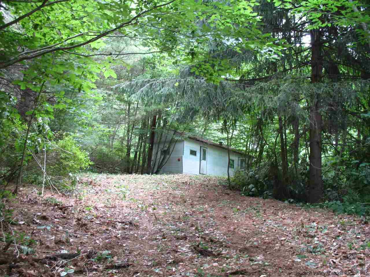 30 Hinkley Road Shandaken, NY 12480 - Photo 1 of 29 Photo 1