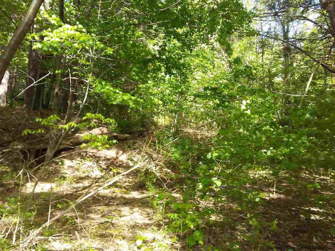 30 Hinkley Road Shandaken, NY 12480 - Photo 11 of 29 Photo 11