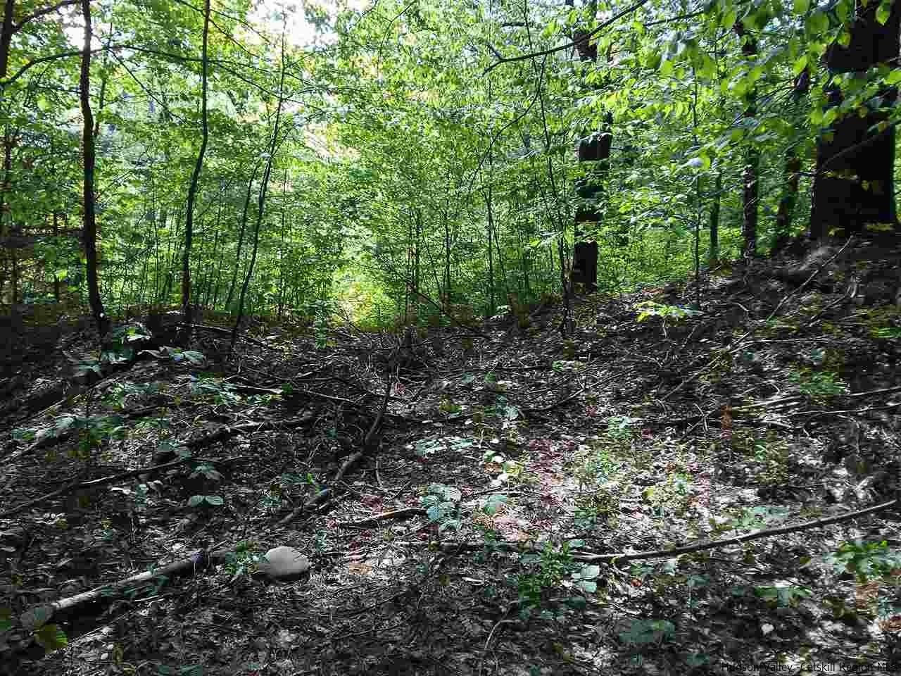 30 Hinkley Road Shandaken, NY 12480 - Photo 12 of 29 Photo 12