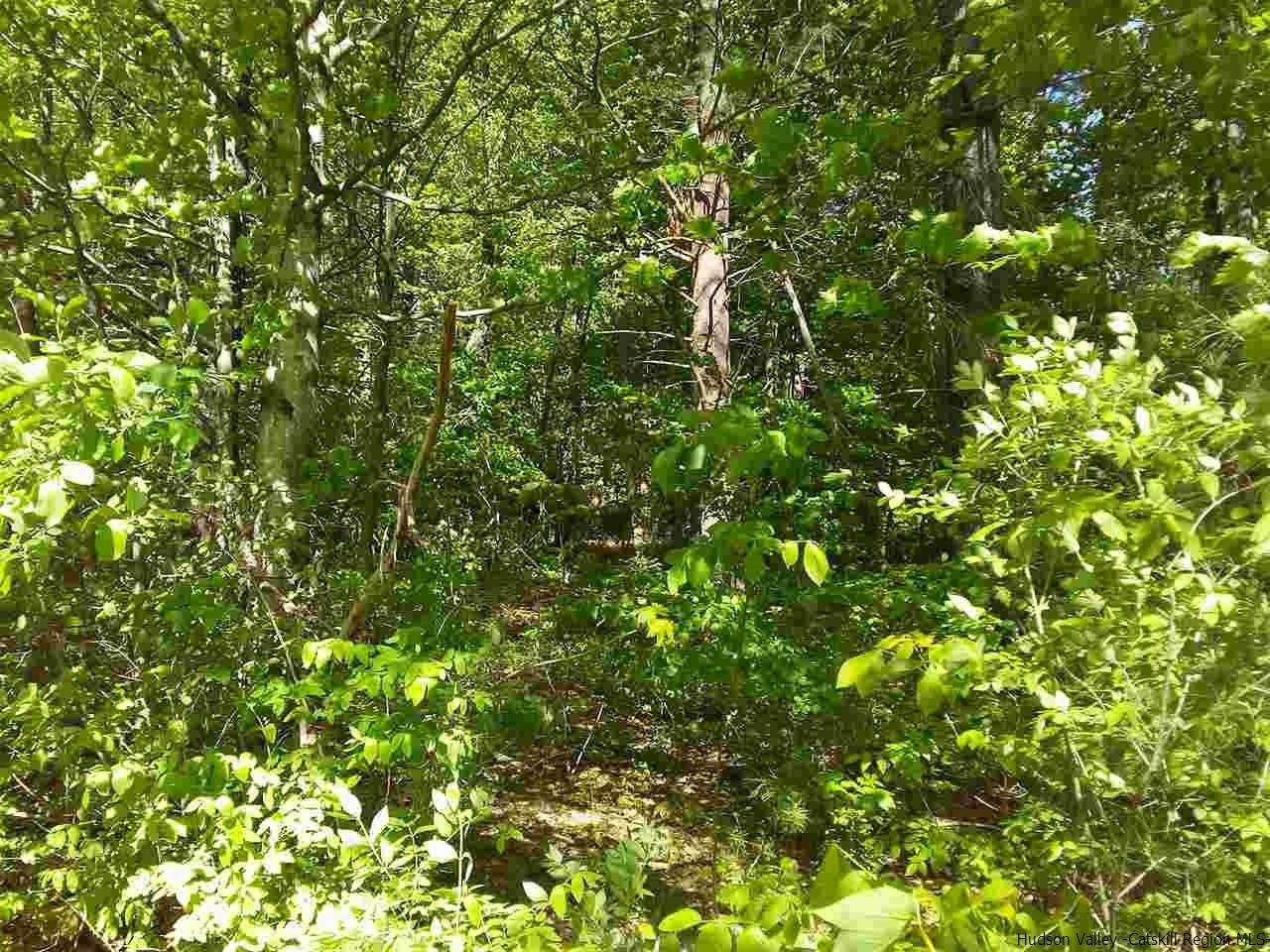 30 Hinkley Road Shandaken, NY 12480 - Photo 13 of 29 Photo 13