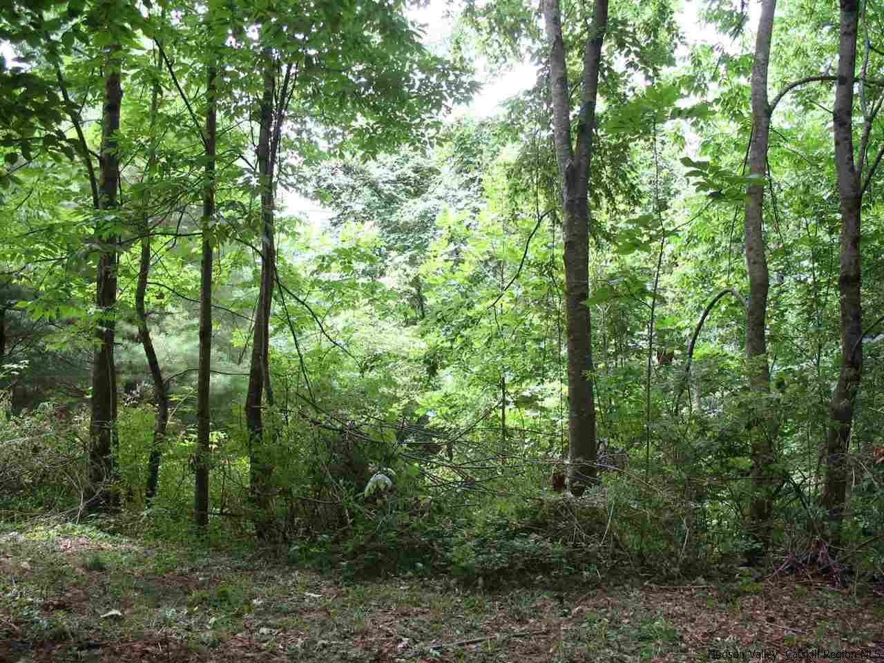 30 Hinkley Road Shandaken, NY 12480 - Photo 14 of 29 Photo 14