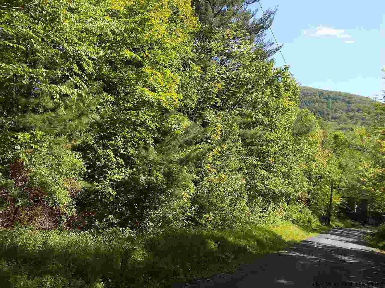 30 Hinkley Road Shandaken, NY 12480 - Photo 15 of 29 Photo 15
