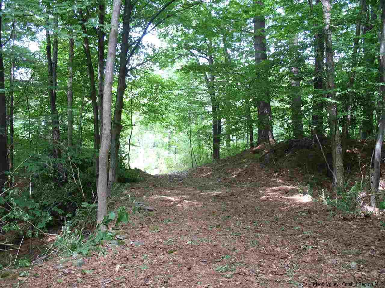 30 Hinkley Road Shandaken, NY 12480 - Photo 16 of 29 Photo 16