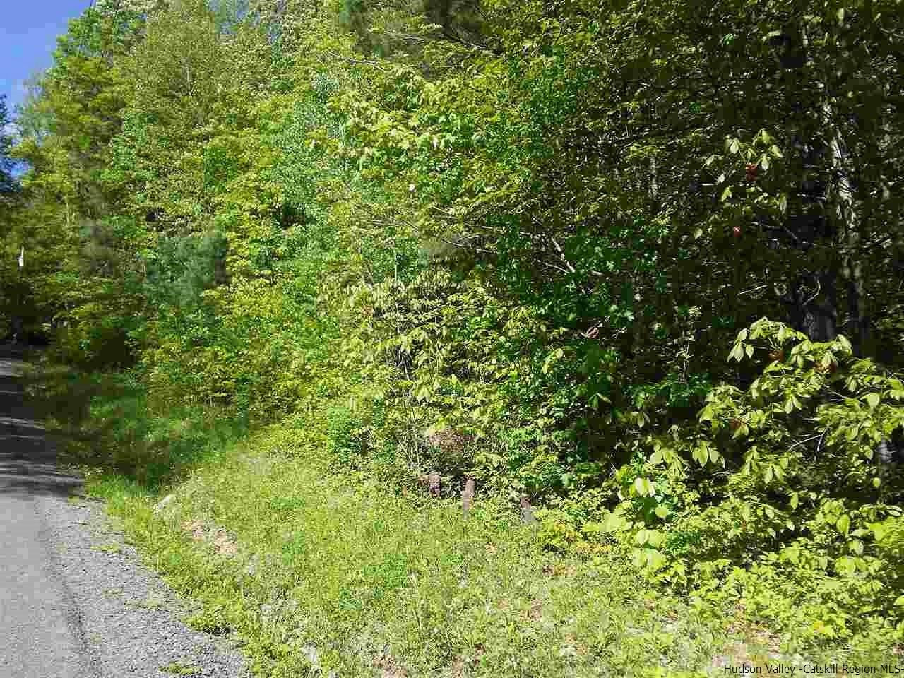 30 Hinkley Road Shandaken, NY 12480 - Photo 17 of 29 Photo 17