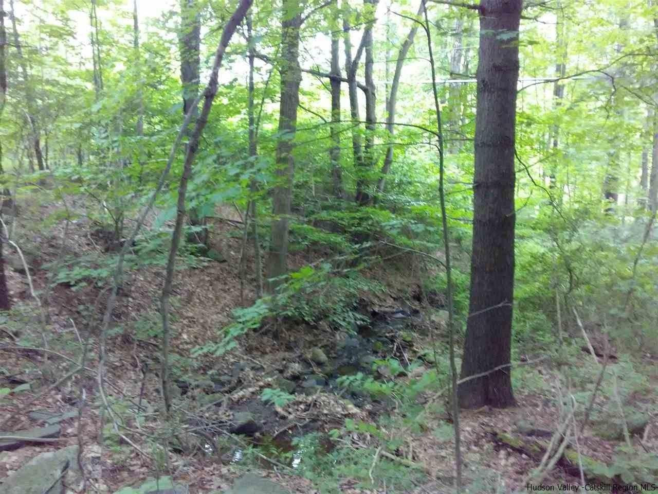 30 Hinkley Road Shandaken, NY 12480 - Photo 20 of 29 Photo 20