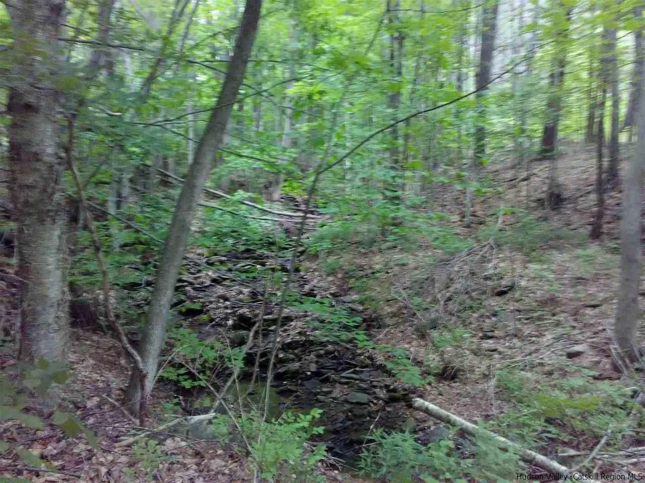 30 Hinkley Road Shandaken, NY 12480 - Photo 22 of 29 Photo 22