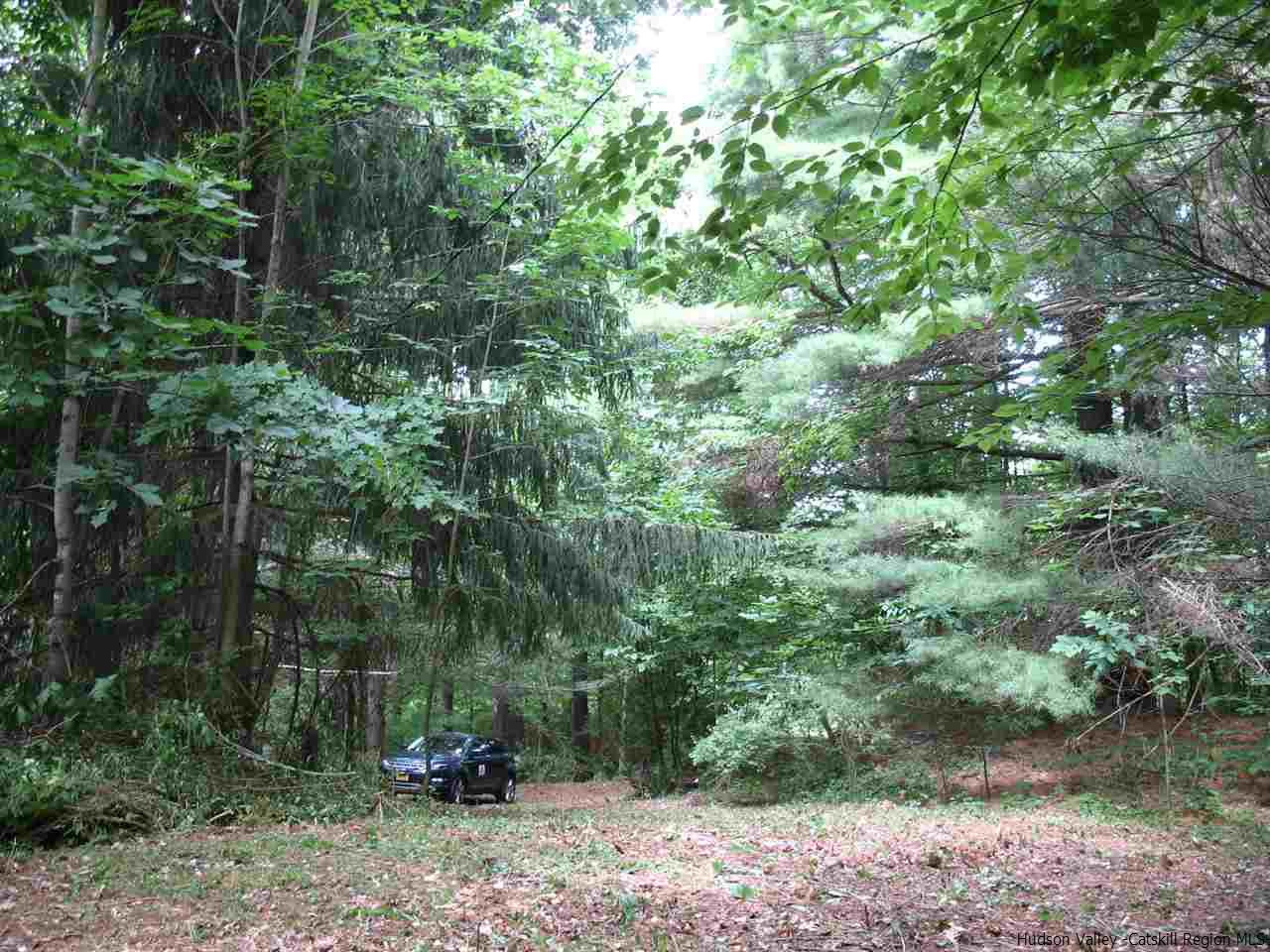 30 Hinkley Road Shandaken, NY 12480 - Photo 29 of 29 Photo 29