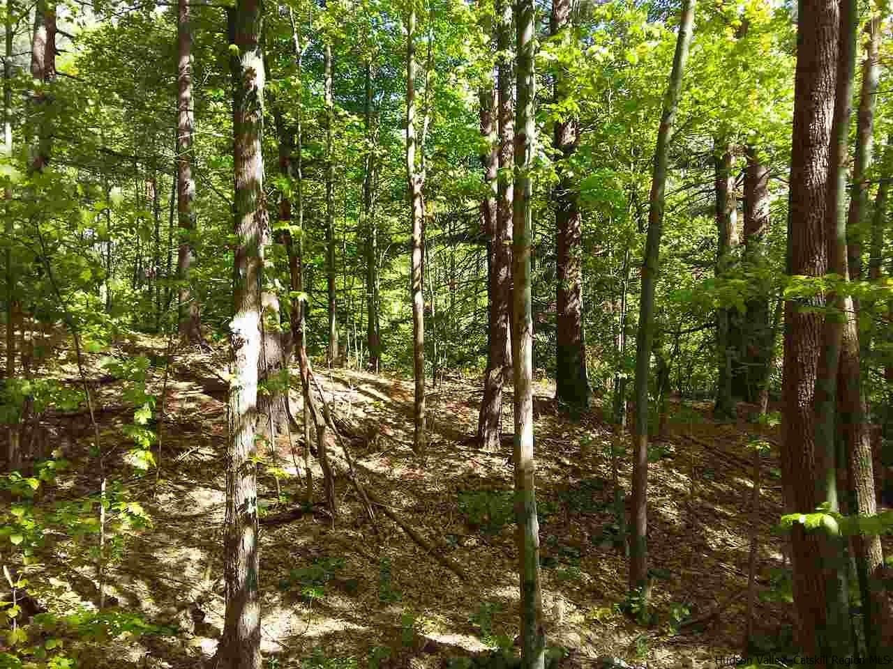 30 Hinkley Road Shandaken, NY 12480 - Photo 3 of 29 Photo 3