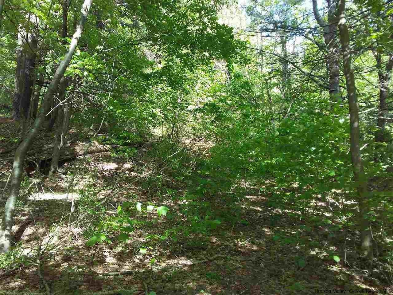 30 Hinkley Road Shandaken, NY 12480 - Photo 7 of 29 Photo 7