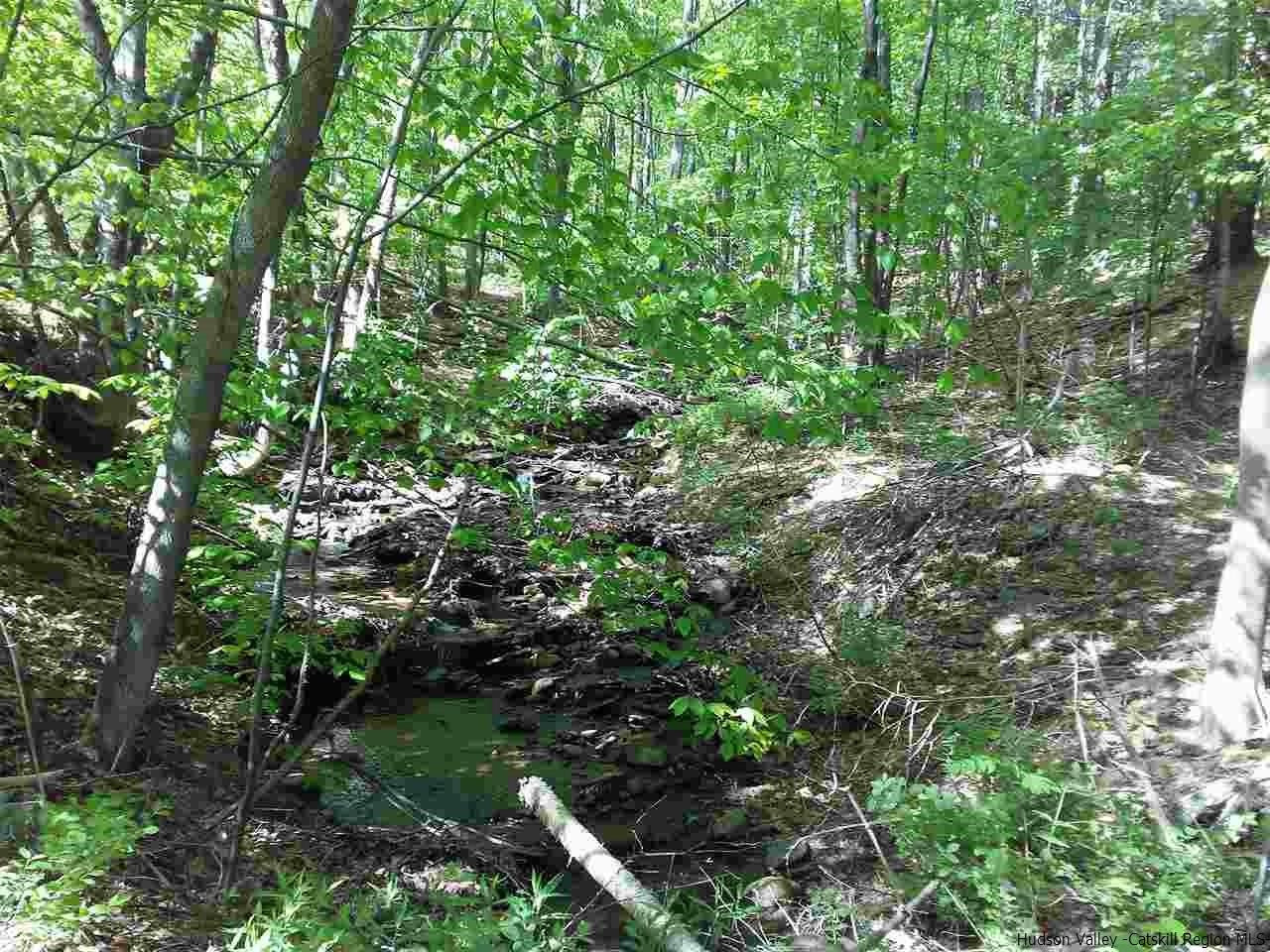 30 Hinkley Road Shandaken, NY 12480 - Photo 10 of 29 Photo 10