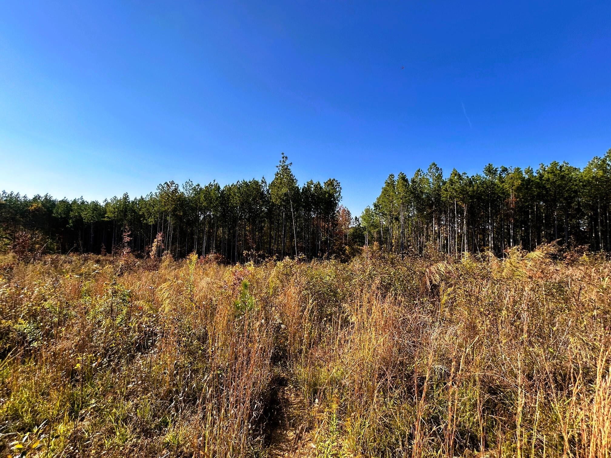 17 Hughes Lake Road Southeast Cleveland, TN 37323 - Photo 20 of 25