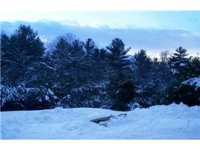 299 White Oak Road Barnstead, NH 03225 - Photo 4 of 4