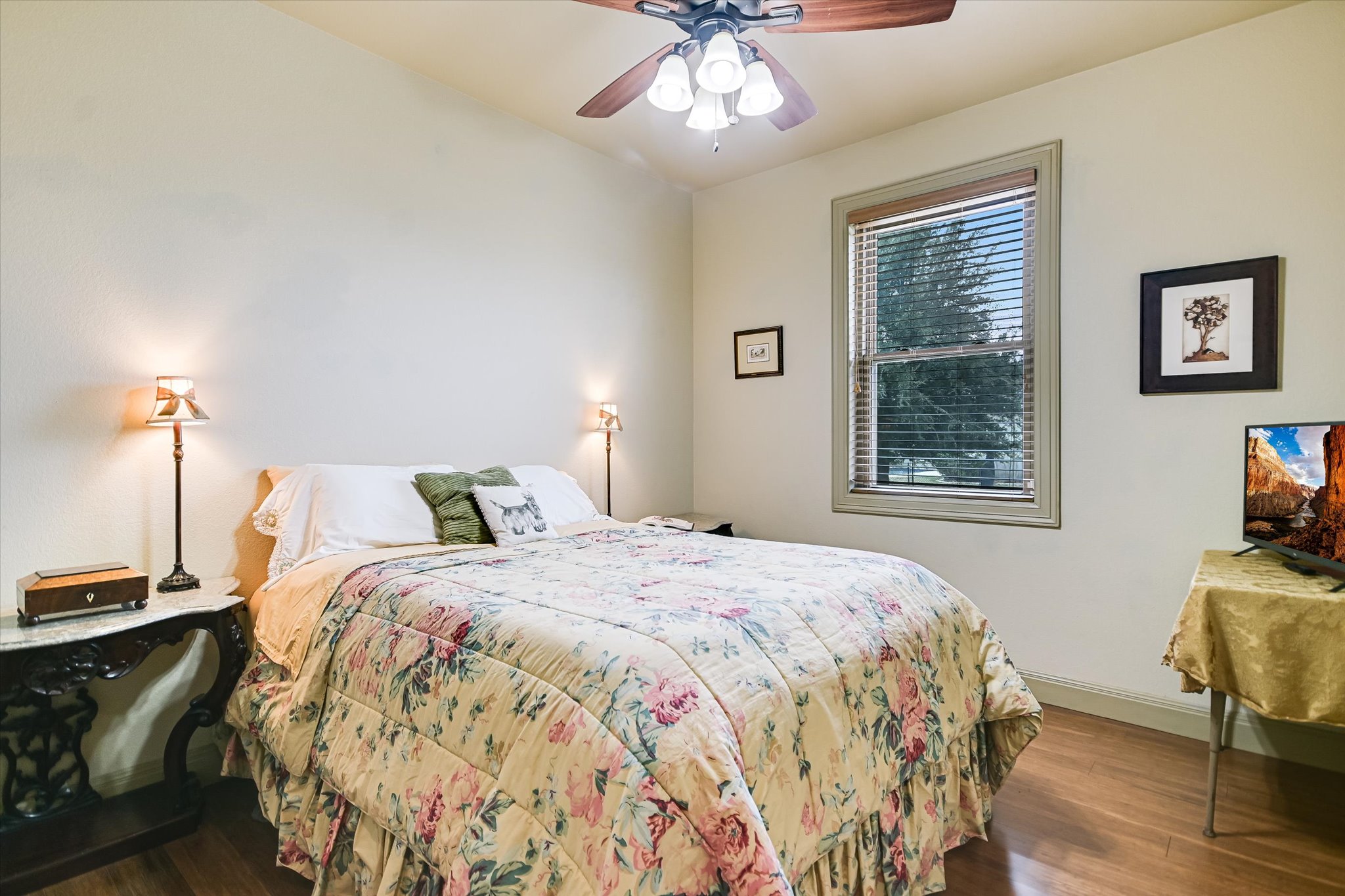 117 View Drive Georgetown, TX 78628 - Photo 23 of 40 Bedroom with wood finished floors and a ceiling fan. Double pane & double hung window.