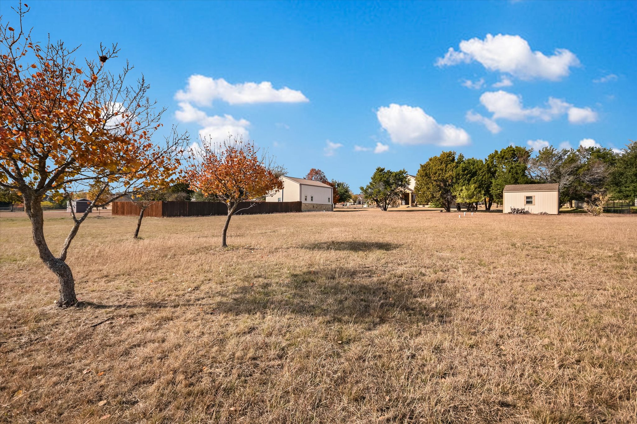 117 View Drive Georgetown, TX 78628 - Photo 33 of 40 View of yard and orchard.