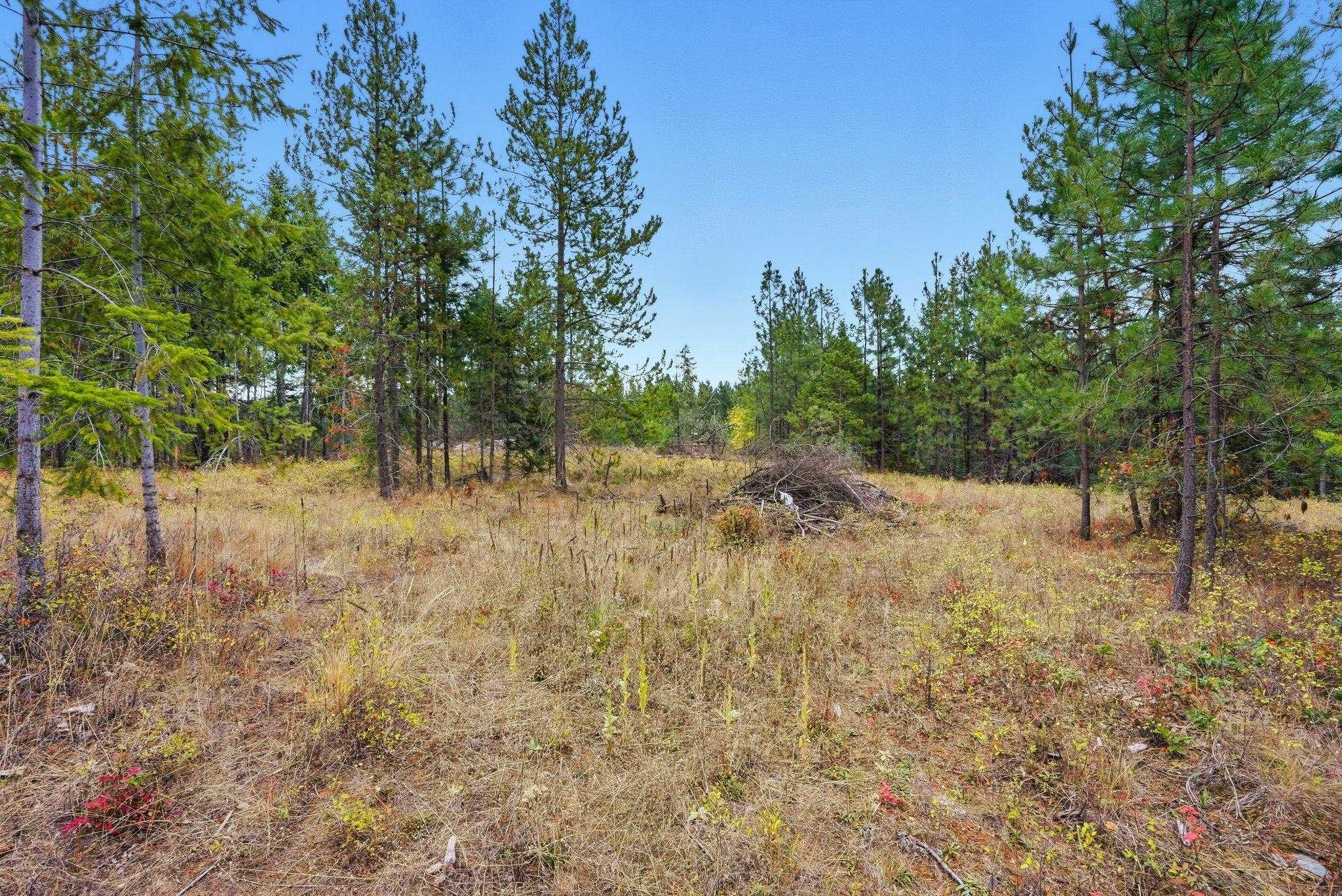 4710 B Price Road Clayton, WA 99110 - Photo 25 of 39 Gallery Image 25