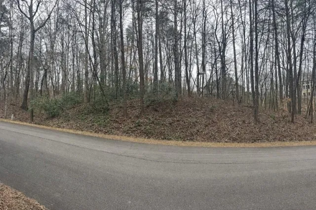 a view of a yard with large trees