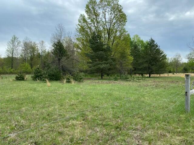 3878 East 2 Mile Road White Cloud, MI 49349 - Photo 3 of 4 IMG_0161