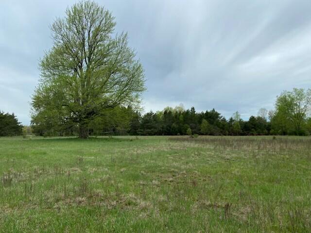 3878 East 2 Mile Road White Cloud, MI 49349 - Photo 4 of 4 IMG_0163