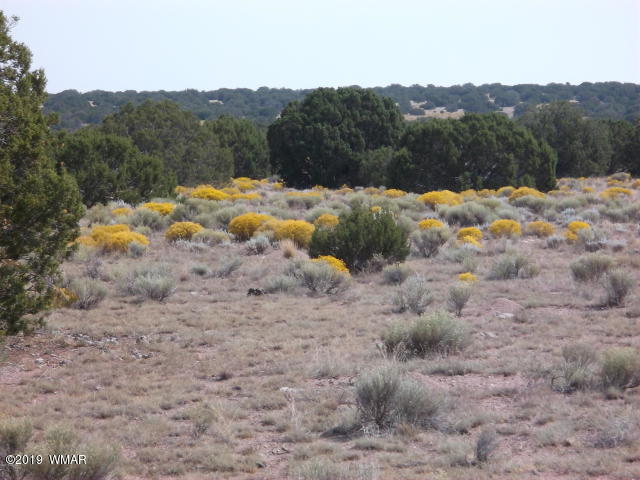 Lot 260 Elk Valley Ranch, Unit 3 St. Johns, AZ 85936 - Photo 1 of 8