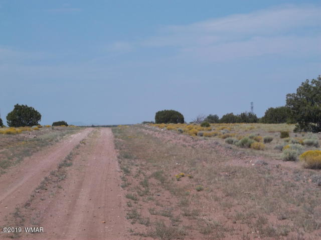 Lot 260 Elk Valley Ranch, Unit 3 St. Johns, AZ 85936 - Photo 2 of 8