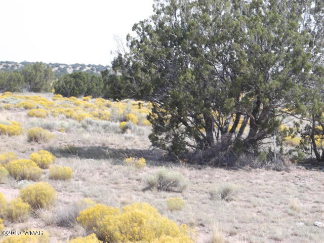 Lot 260 Elk Valley Ranch, Unit 3 St. Johns, AZ 85936 - Photo 4 of 8