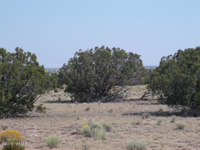 Lot 260 Elk Valley Ranch, Unit 3 St. Johns, AZ 85936 - Photo 5 of 8