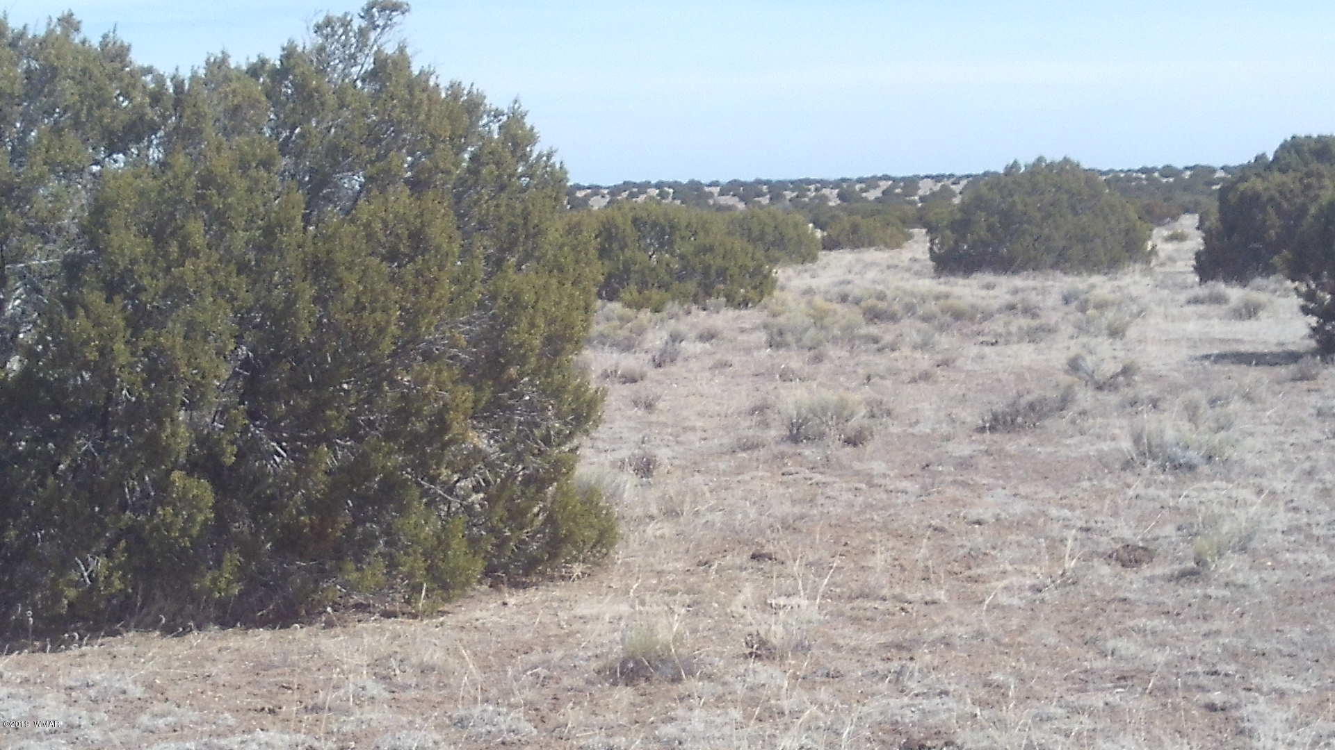 Lot 260 Elk Valley Ranch, Unit 3 St. Johns, AZ 85936 - Photo 7 of 8