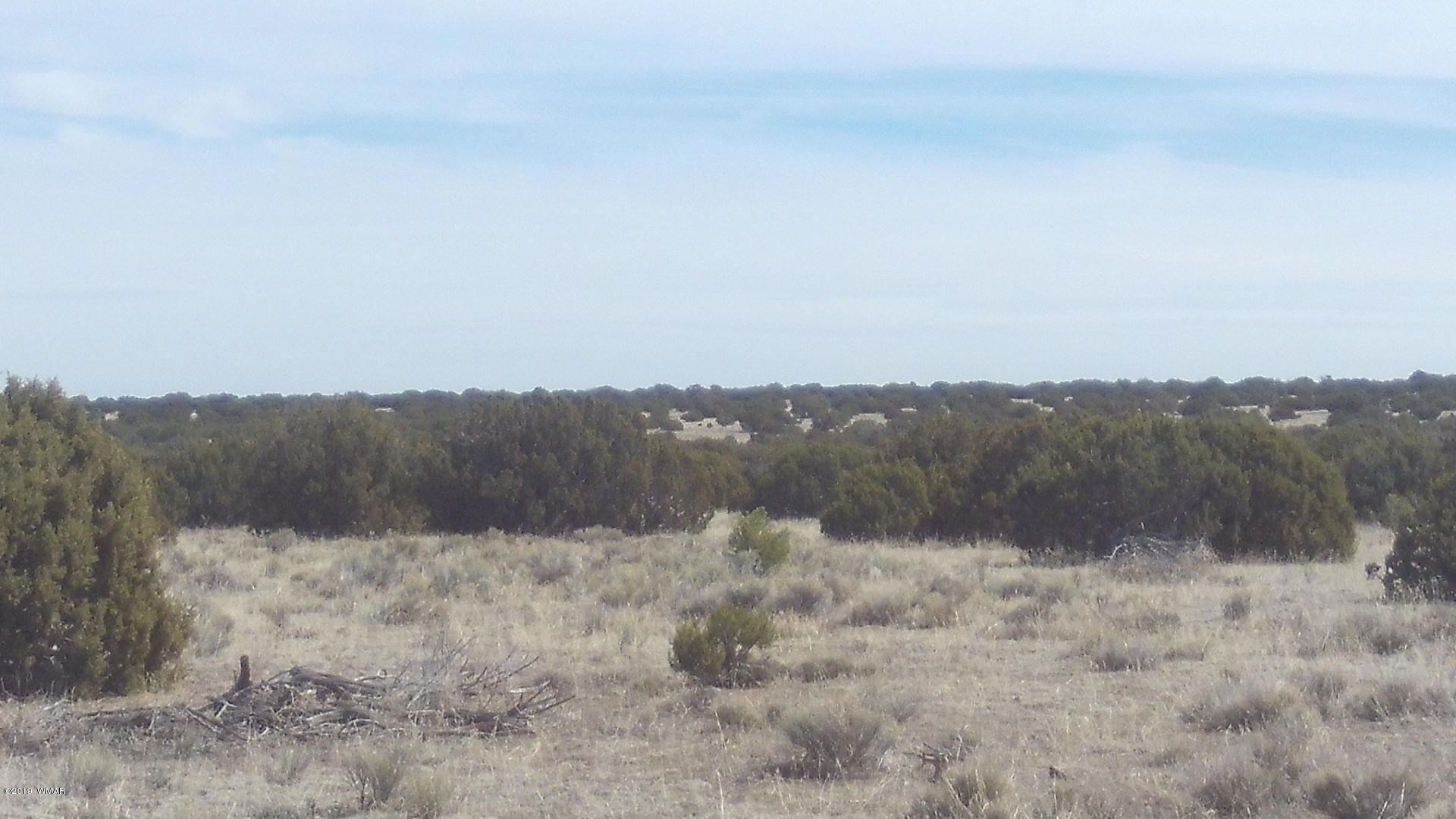 Lot 260 Elk Valley Ranch, Unit 3 St. Johns, AZ 85936 - Photo 8 of 8