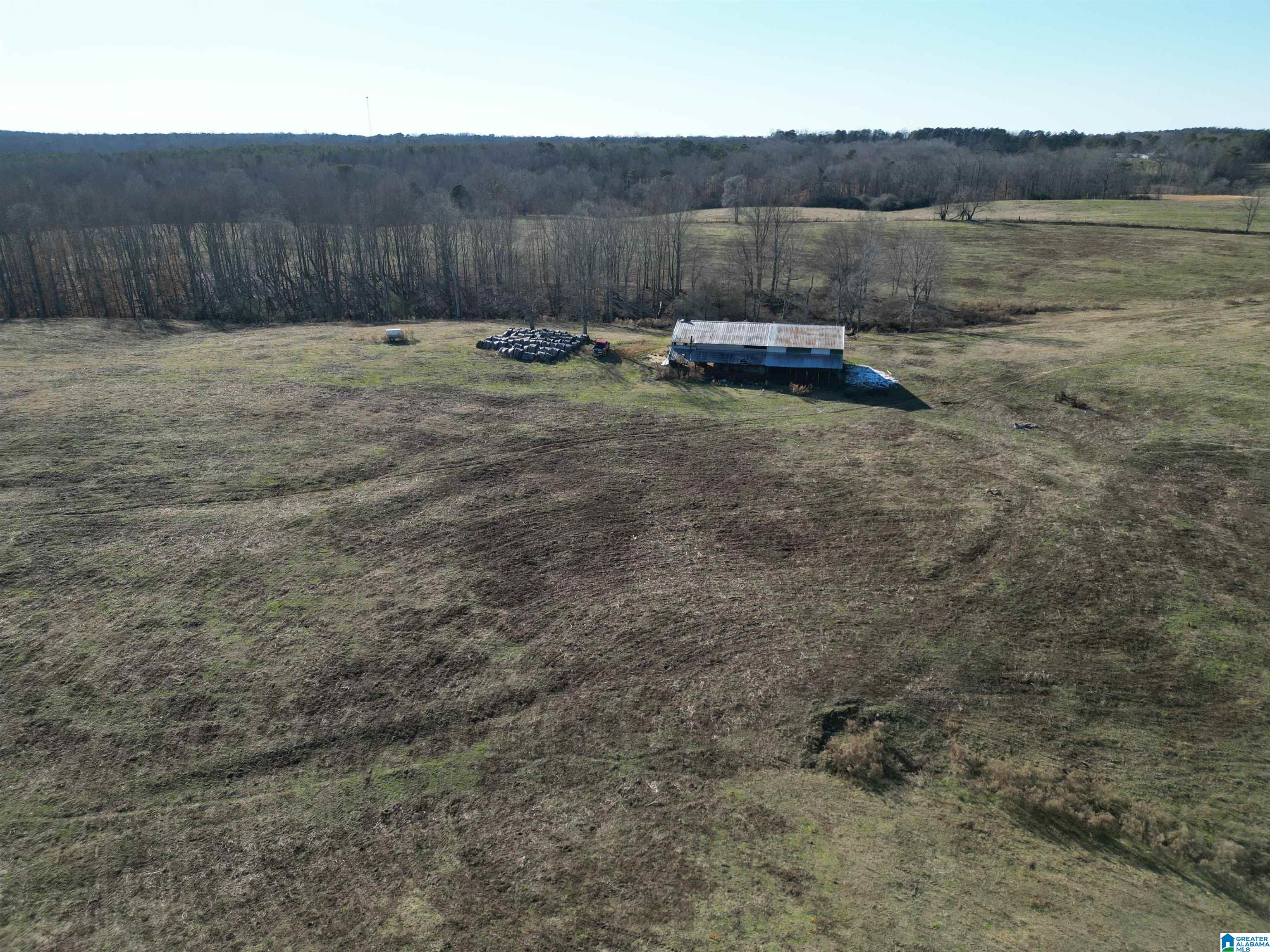 682 County Road 832 Logan, AL 35098 - Photo 14 of 48