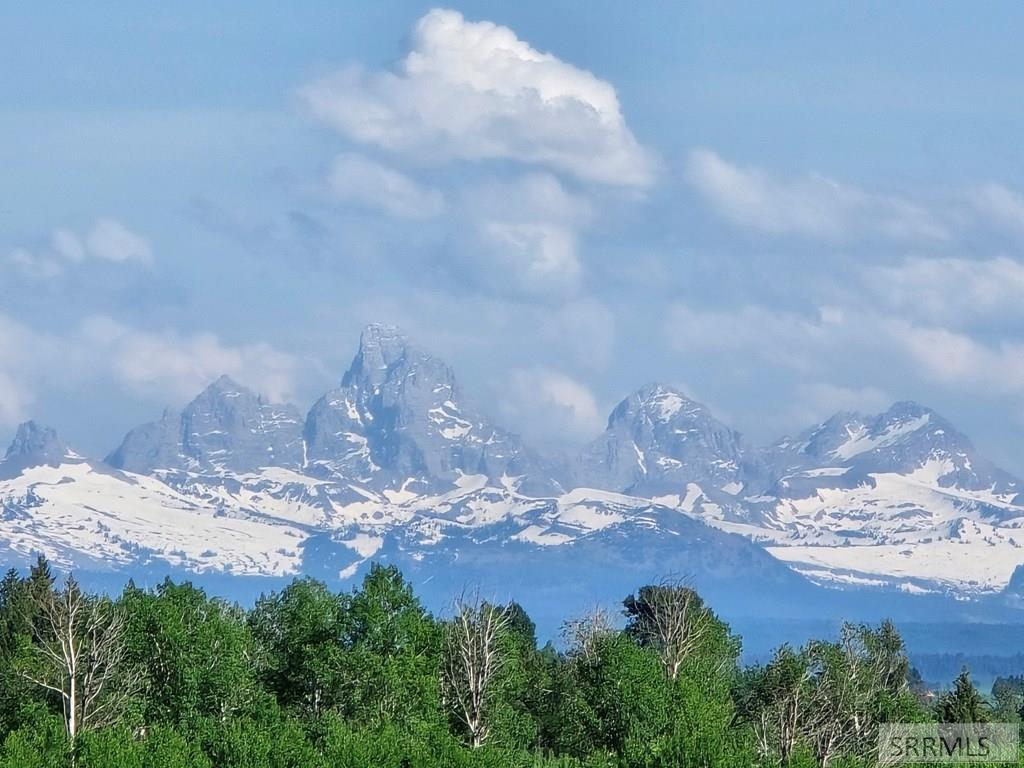1560 East Rim Loop Ashton, ID 83420 - Photo 3 of 29