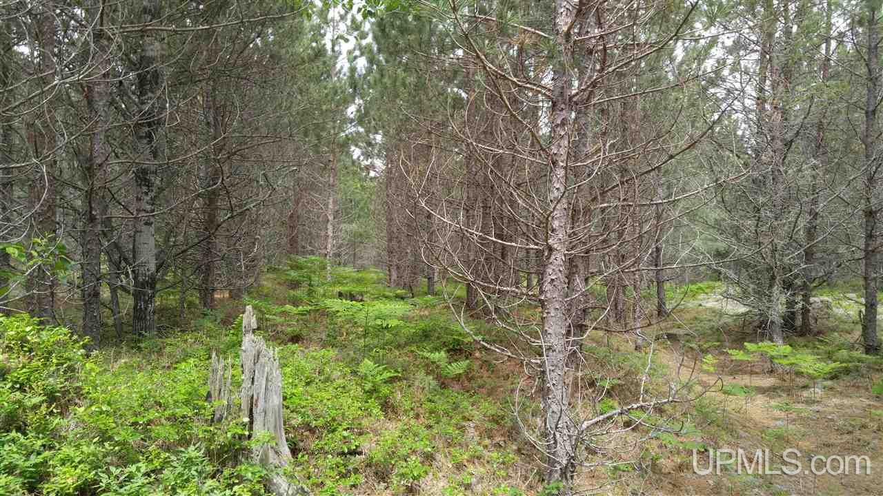 13.44-acres Stutts Road Manistique, MI 49854 - Photo 11 of 19