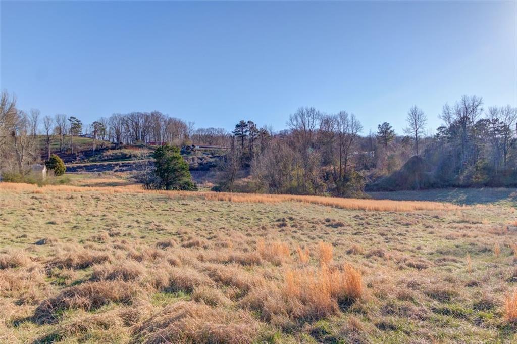 4404 Tanners Mill Road Braselton, GA 30517 - Photo 11 of 76 a view of a backyard of a house