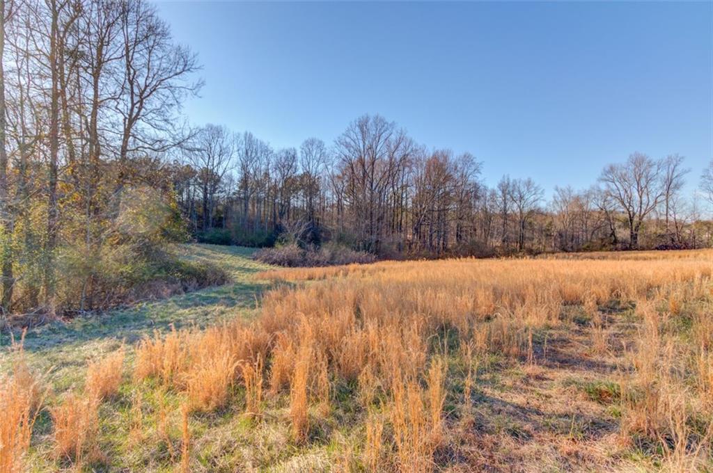 4404 Tanners Mill Road Braselton, GA 30517 - Photo 12 of 76