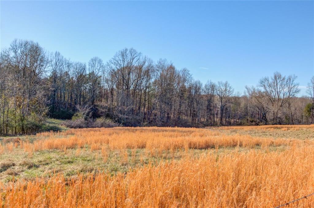 4404 Tanners Mill Road Braselton, GA 30517 - Photo 13 of 76