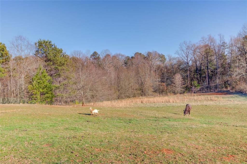4404 Tanners Mill Road Braselton, GA 30517 - Photo 16 of 76