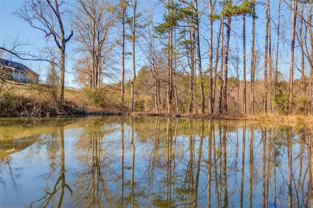 4404 Tanners Mill Road Braselton, GA 30517 - Photo 21 of 76