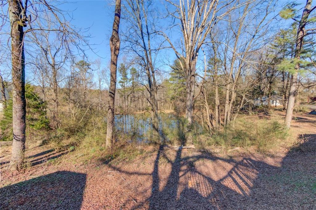 4404 Tanners Mill Road Braselton, GA 30517 - Photo 49 of 76 a backyard of a house