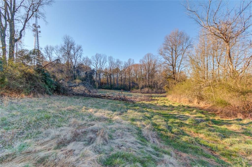 4404 Tanners Mill Road Braselton, GA 30517 - Photo 10 of 76 a view of backyard of the house
