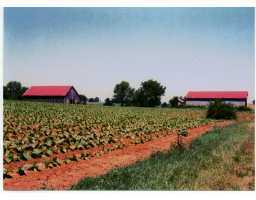 Point Pleasant Road New Castle, KY 40050 - Photo 1 of 1 Primary Photo