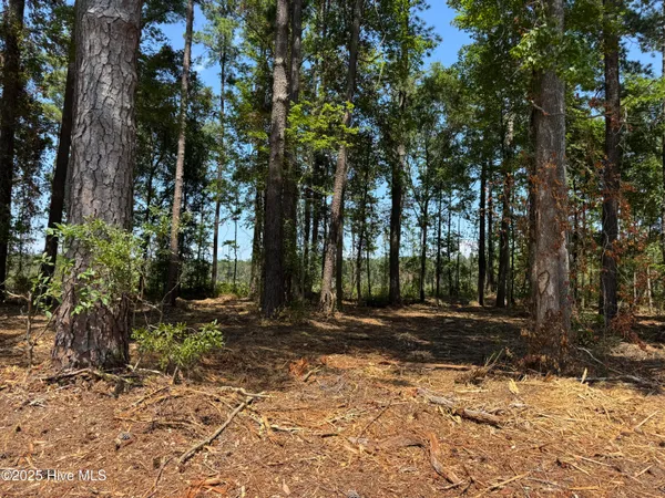 $17,900 | Lot 6 Swamp Fox Highway West, Tabor City, NC 28463