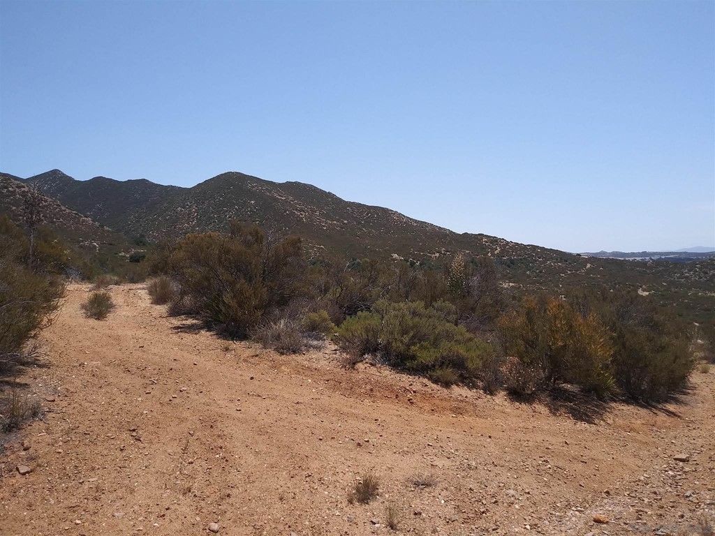 Old Mine Road Ranchita, CA 92066 - Photo 14 of 18 a view of a dry yard with mountains in the background