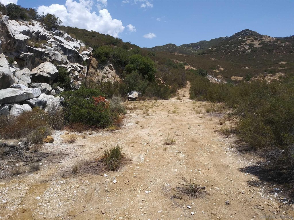 Old Mine Road Ranchita, CA 92066 - Photo 3 of 18 a view of a dry yard with lots of trees
