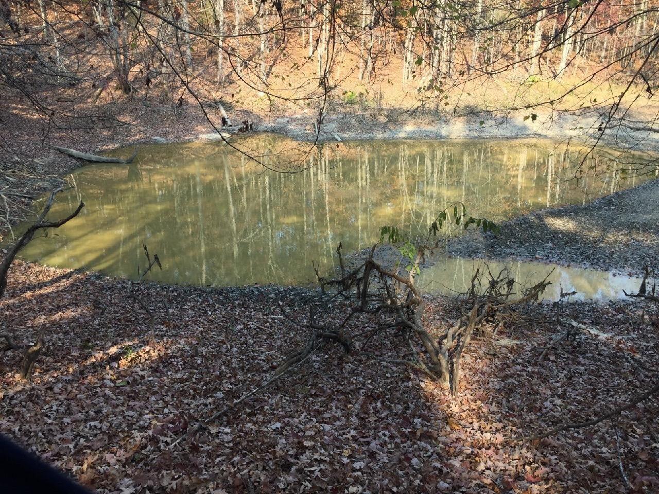 13819 Pierce Road Birchwood, TN 37308 - Photo 3 of 13 20191025001817663386000000-o