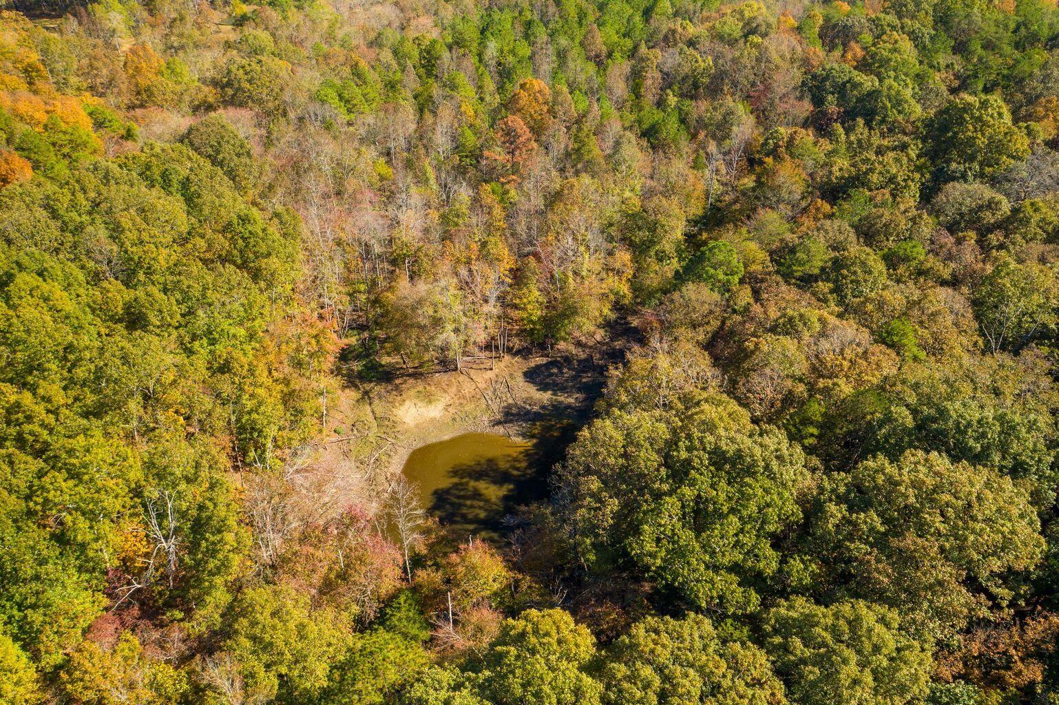 13819 Pierce Road Birchwood, TN 37308 - Photo 4 of 13 20191029200858993852000000-o