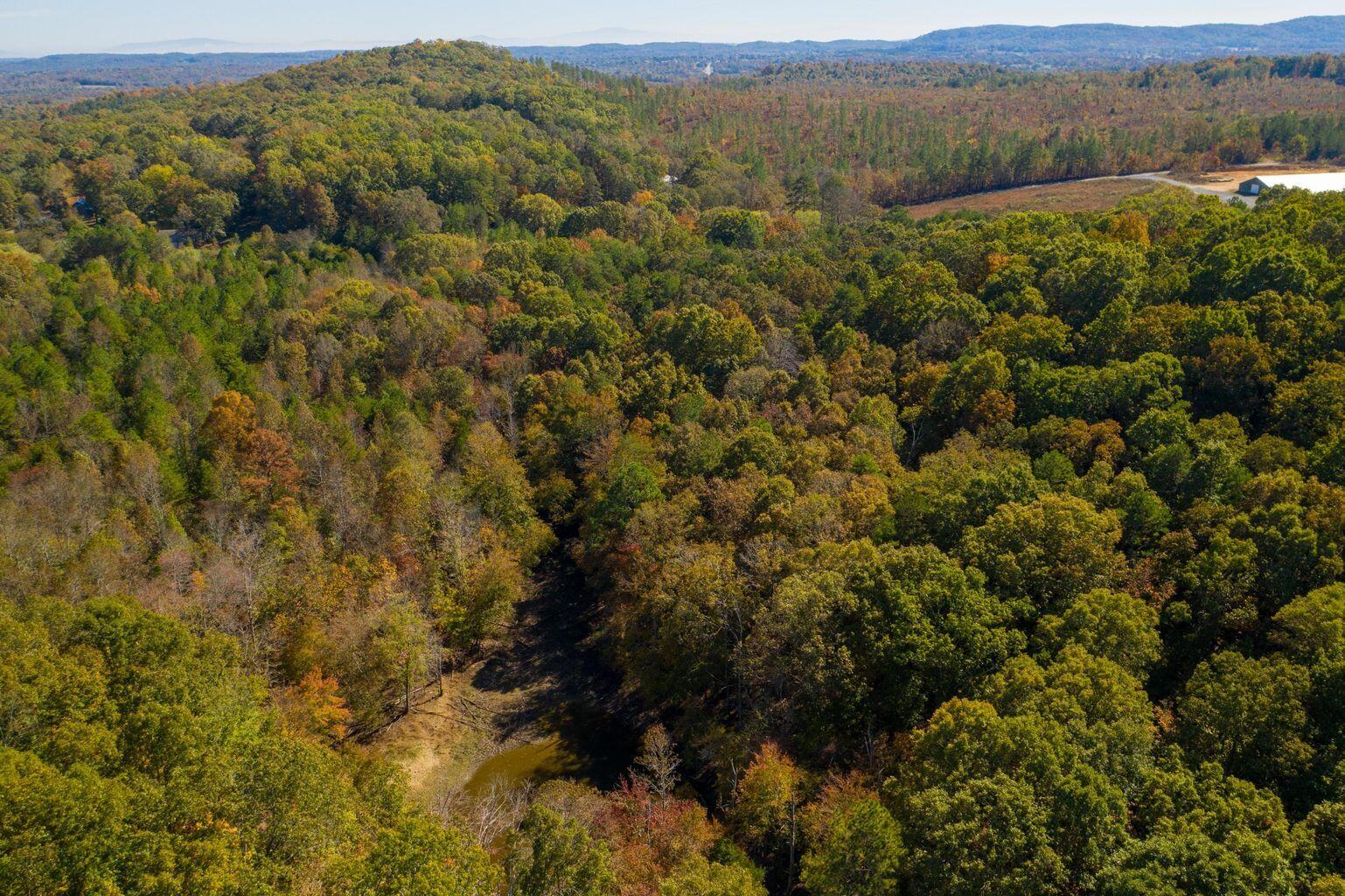 13819 Pierce Road Birchwood, TN 37308 - Photo 5 of 13 20191029200903047253000000-o