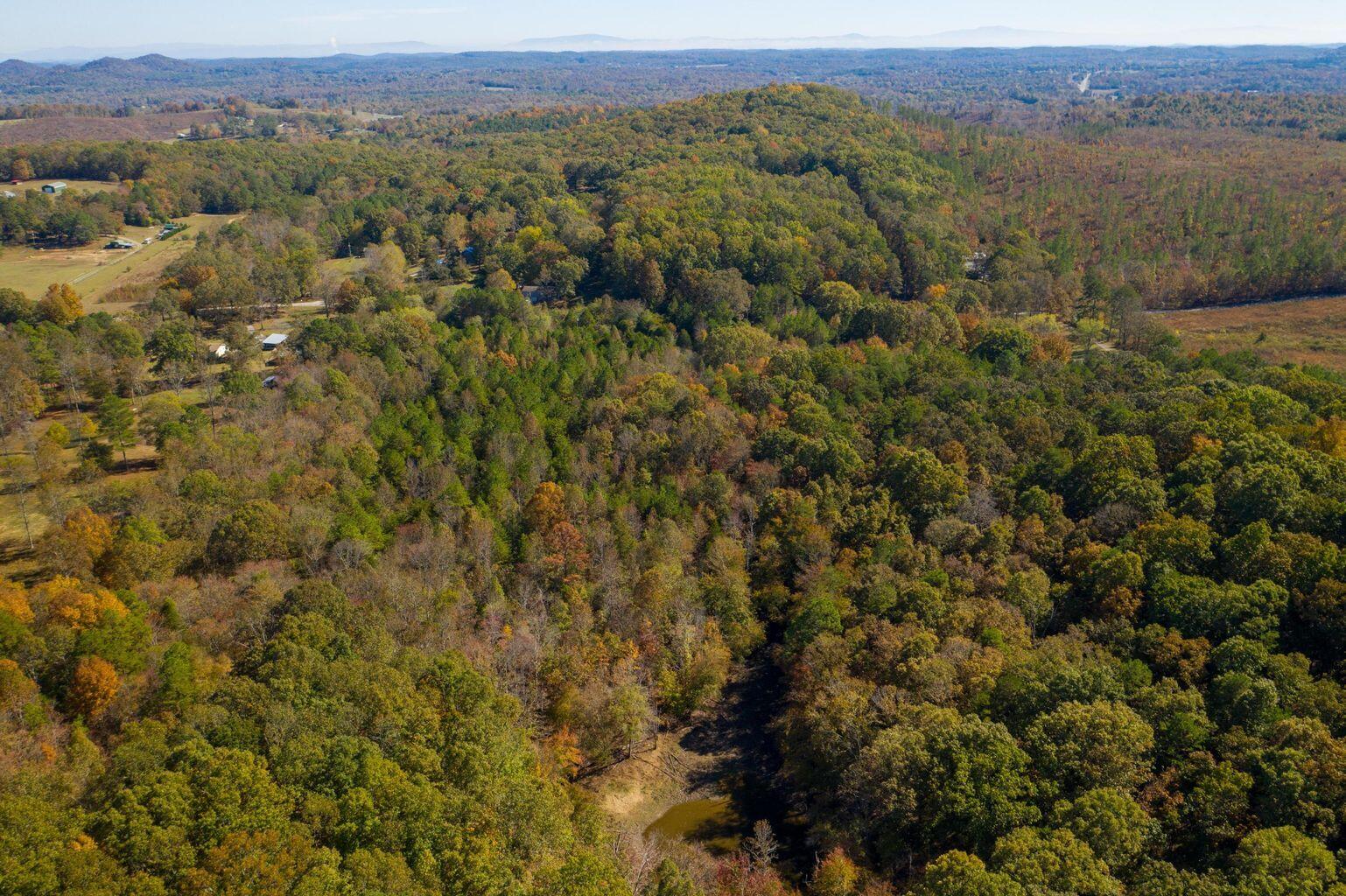 13819 Pierce Road Birchwood, TN 37308 - Photo 6 of 13 20191029200907231291000000-o