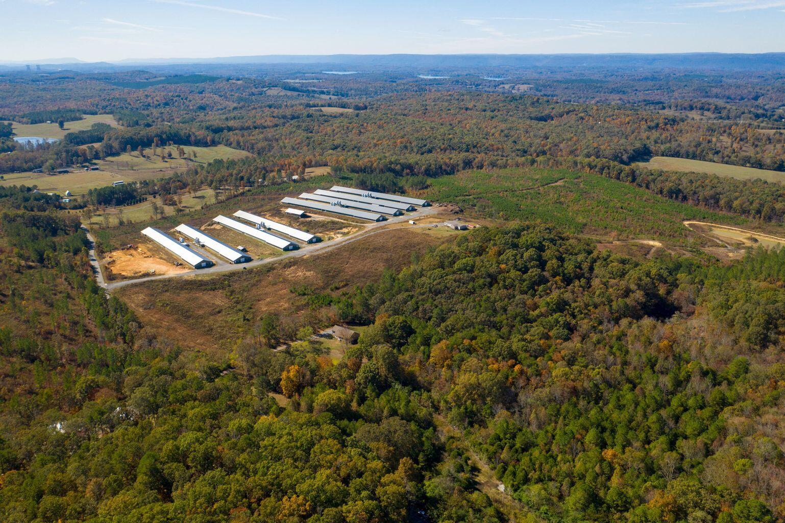 13819 Pierce Road Birchwood, TN 37308 - Photo 10 of 13 20191029200921801801000000-o