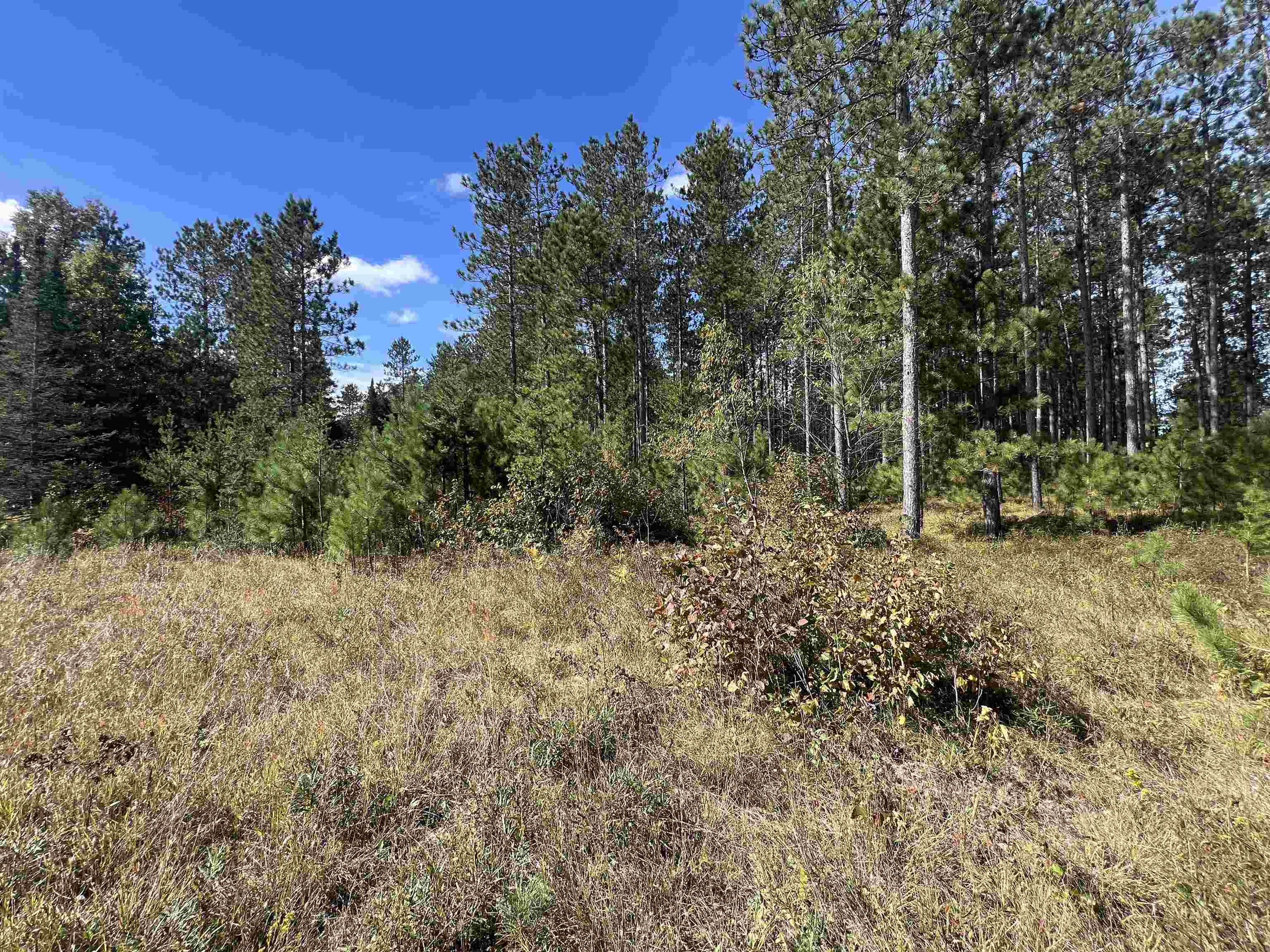Gehling Road, Unit 11 Dunbar, WI 54119 - Photo 2 of 6 Gallery Image 2