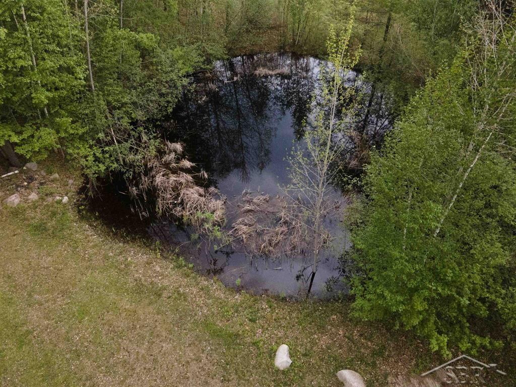 1156 South Alamando Road Shepherd, MI 48883 - Photo 38 of 40